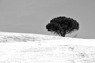 1968 depreminde Sicilya 'daki Gibellina nel Belice harabelerinde inşa edilen 