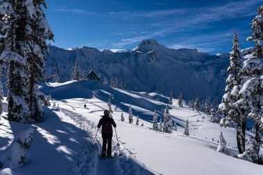 Masa Dağı manzarası, Baker Dağı kayak alanı, Washington