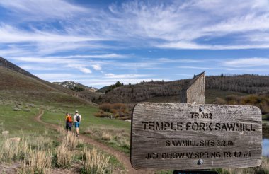 Temple Fork Bıçkıhanesi yolu. Logan, Utah