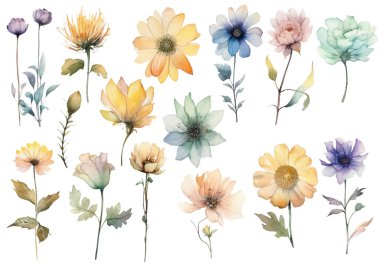 Vektör suluboya çiçek. El çizimi çiçek tasarımı elementleri beyaz arkaplanda izole.