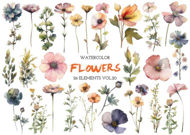 Vektör suluboya çiçek. El çizimi çiçek tasarımı elementleri beyaz arkaplanda izole.