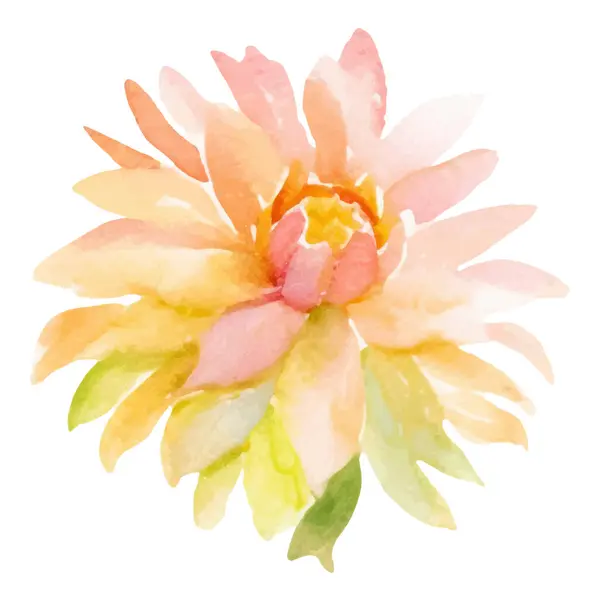 Aquarelle Peinte Fleur Dahlia Elément Design Dessiné Main Isolé Sur — Image vectorielle