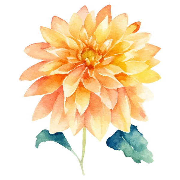Akvarell Malt Dahlia Blomst Håndtegnet Designelement Isolert Hvit Bakgrunn – stockvektor
