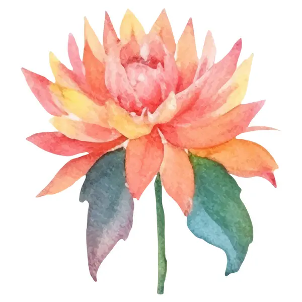 Suluboya Yıldız Çiçeği Boyadı Çizimi Tasarım Ögesi Beyaz Arkaplanda Izole — Stok Vektör