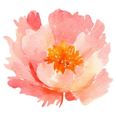 Suluboya şakayık çiçeği. El çizimi tasarım ögesi beyaz arkaplanda izole edildi.