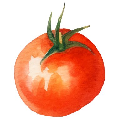 Domatesli kiraz boyalı suluboya. El çizimi taze gıda tasarım elementi beyaz arka planda izole.