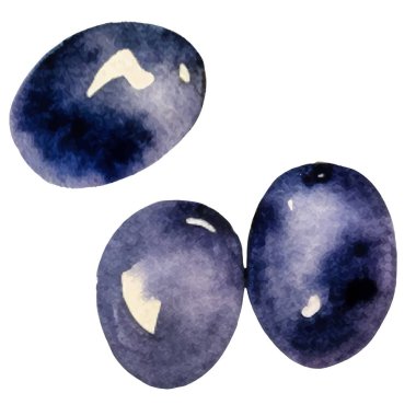 Suluboya zeytin. El, beyaz arka planda izole edilmiş taze gıda tasarımı elementi çizdi.