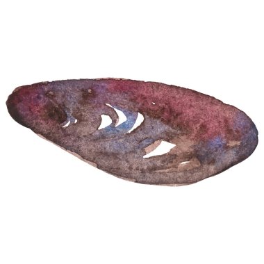 Suluboya midyeler. Beyaz arkaplanda el yapımı taze deniz ürünleri tasarımı elementi izole edildi.