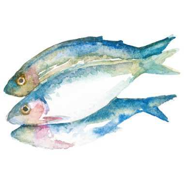 Suluboya balıklar. Beyaz arkaplanda el yapımı taze deniz ürünleri tasarımı elementi izole edildi.