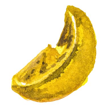 Limona boyanmış suluboya. El çizimi taze meyve tasarımı ögesi beyaz arkaplanda izole.