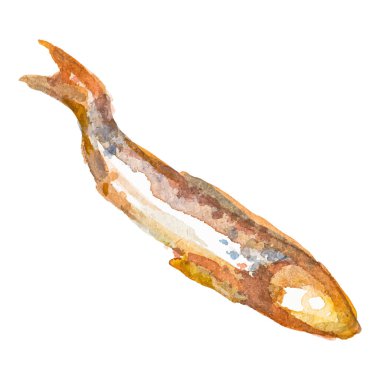Kızarmış balık boyalı suluboya El beyaz arka planda izole edilmiş taze deniz ürünleri tasarımı elementi çizdi