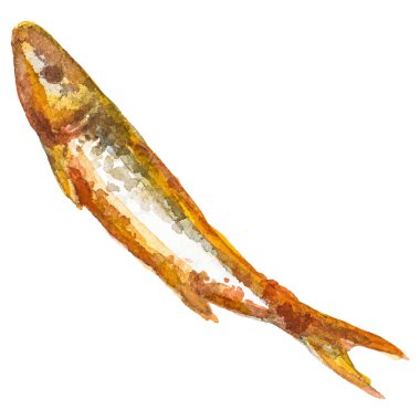 Kızarmış balık boyalı suluboya El beyaz arka planda izole edilmiş taze deniz ürünleri tasarımı elementi çizdi