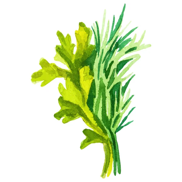 Akvarell Festett Zöld Kézzel Rajzolt Friss Élelmiszer Design Elem Elszigetelt — Stock Vector