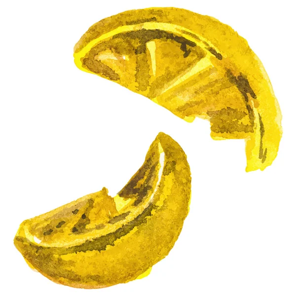 Υδατογραφία Βαμμένο Λεμόνι Χειροποίητο Στοιχείο Σχεδιασμού Νωπών Φρούτων Που Απομονώνεται — Διανυσματικό Αρχείο