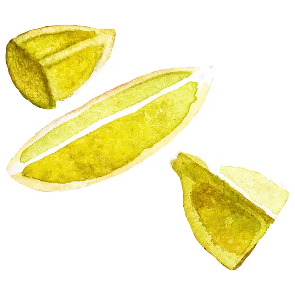 Akvarell Målad Citron Handritade Färsk Frukt Designelement Isolerad Vit Bakgrund — Stock vektor
