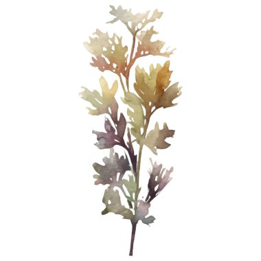 Vektör Suluboya çiçek çizimi. El çizimi çiçek tasarımı elementleri beyaz arkaplanda izole.