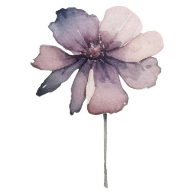 Vektör Suluboya çiçek çizimi. El çizimi çiçek tasarımı elementleri beyaz arkaplanda izole.