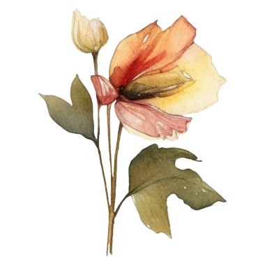 Vektör Suluboya çiçek çizimi. El çizimi çiçek tasarımı elementleri beyaz arkaplanda izole.