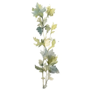 Vektör Suluboya çiçek çizimi. El çizimi çiçek tasarımı elementleri beyaz arkaplanda izole.