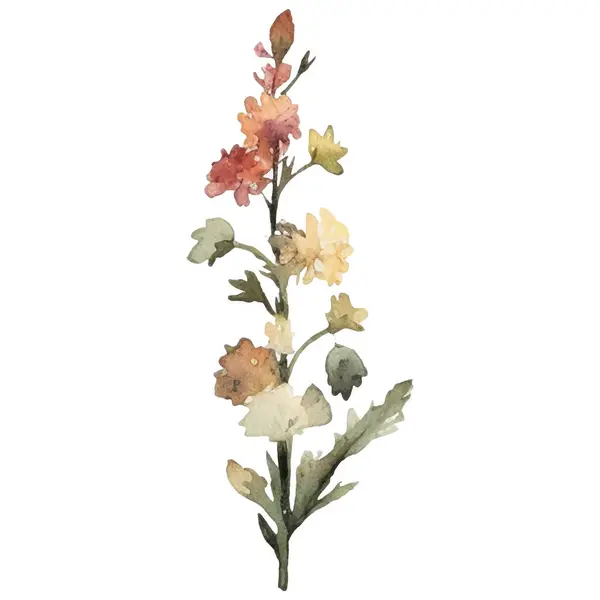 ベクターウォーターカラーは花のイラストを描きました 白い背景に分離された手描きの花のデザイン要素 — ストックベクタ