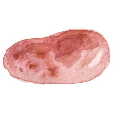 Suluboya patates. El çizimi taze gıda tasarım elementi beyaz arka planda izole.