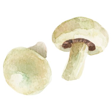 Suluboya şampiyonluğu. El çizimi taze gıda tasarım elementi beyaz arka planda izole.