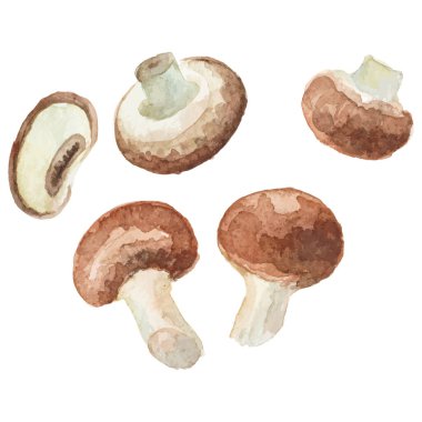 Suluboya şampiyonluğu. El çizimi taze gıda tasarım elementi beyaz arka planda izole.