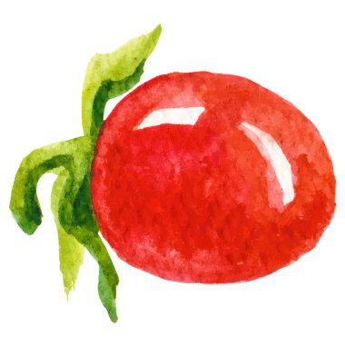 Domatesli kiraz boyalı suluboya. El çizimi taze gıda tasarım elementi beyaz arka planda izole.
