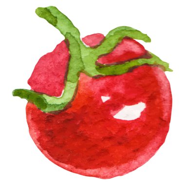 Domatesli kiraz boyalı suluboya. El çizimi taze gıda tasarım elementi beyaz arka planda izole.