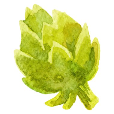 Suluboya, enginar boyası. El çizimi taze gıda tasarım elementi beyaz arka planda izole.