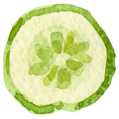 Suluboya boyalı salatalık. El çizimi taze gıda tasarım elementi beyaz arka planda izole.