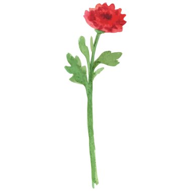 Çiçek boyalı vektör El çizilmiş çiçek tasarımı ögesi beyaz arkaplanda izole