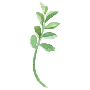 Vektör Suluboya çiçek yaprağı El çizimi çiçek tasarımı ögesi beyaz arkaplanda izole