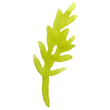 Vektör Suluboya çiçek yaprağı El çizimi çiçek tasarımı ögesi beyaz arkaplanda izole