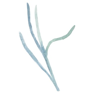 Vektör Suluboya çiçek yaprağı El çizimi çiçek tasarımı ögesi beyaz arkaplanda izole