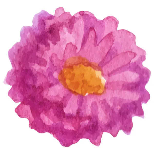 Wektor Akwarela Malowane Kwiat Ręcznie Rysowane Element Projektu Kwiat Izolowany Grafika Wektorowa
