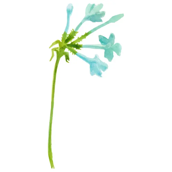 Çiçek Boyalı Vektör Çizilmiş Çiçek Tasarımı Ögesi Beyaz Arkaplanda Izole Telifsiz Stok Vektörler