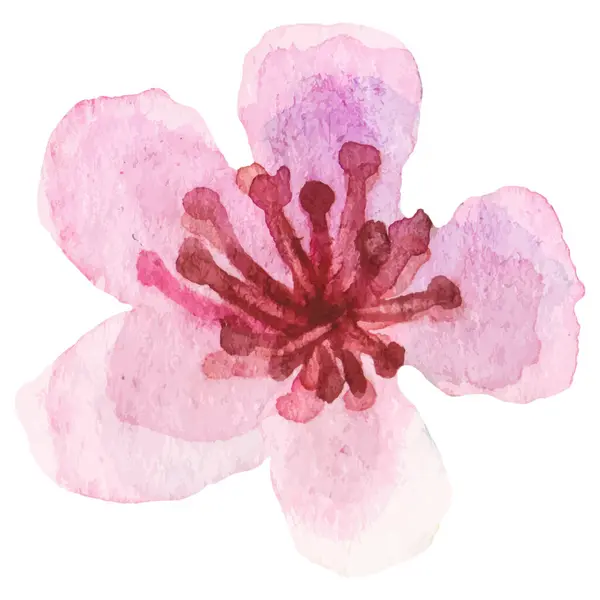 Vector Aquarell Gemalte Blume Handgezeichnete Blume Design Element Isoliert Auf Vektorgrafiken