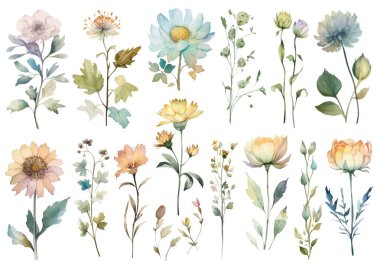 Vektör suluboya çiçek. El çizimi çiçek tasarımı elementleri beyaz arkaplanda izole.