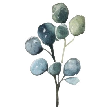 Vektör Suluboya çiçek çizimi. El çizimi çiçek tasarımı elementleri beyaz arkaplanda izole.