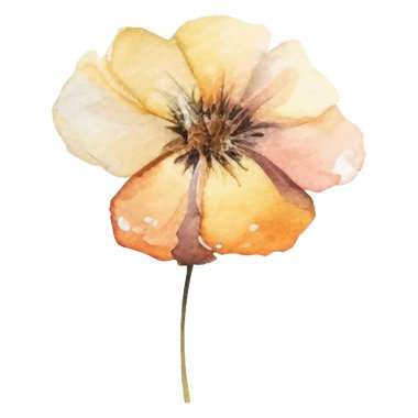 Vektör Suluboya çiçek çizimi. El çizimi çiçek tasarımı elementleri beyaz arkaplanda izole.