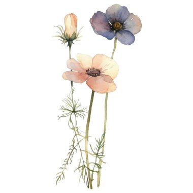 Vektör Suluboya çiçek çizimi. El çizimi çiçek tasarımı elementleri beyaz arkaplanda izole.