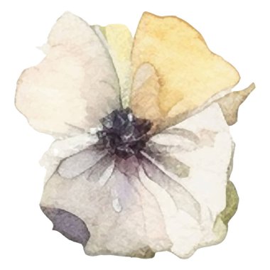 Vektör Suluboya çiçek çizimi. El çizimi çiçek tasarımı elementleri beyaz arkaplanda izole.