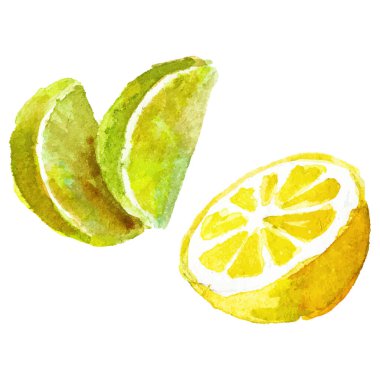 Limona boyanmış suluboya. El çizimi taze meyve tasarımı ögesi beyaz arkaplanda izole.
