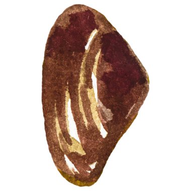 Deniz tarağı boyalı suluboya. Beyaz arkaplanda el yapımı taze deniz ürünleri tasarımı elementi izole edildi.