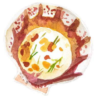 Suluboya deniz tarağı. Beyaz arkaplanda el yapımı taze deniz ürünleri tasarımı elementi izole edildi.