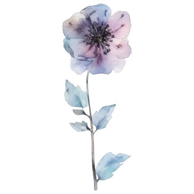 Vektör suluboya çiçek. El çizimi çiçek tasarımı elementleri beyaz arkaplanda izole.