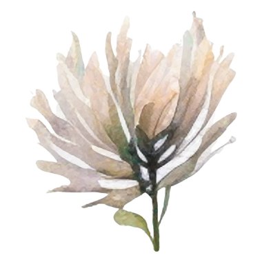 Vektör suluboya çiçek. El çizimi çiçek tasarımı elementleri beyaz arkaplanda izole.