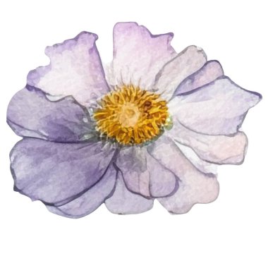 Vektör suluboya çiçek. El çizimi çiçek tasarımı elementleri beyaz arkaplanda izole.