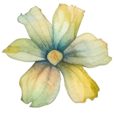 Vektör suluboya çiçek. El çizimi çiçek tasarımı elementleri beyaz arkaplanda izole.